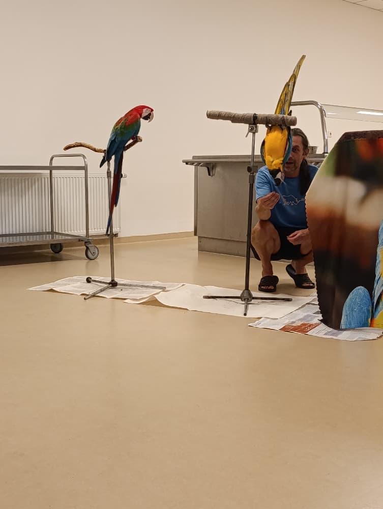 🦜Papoušci 🦜 3
