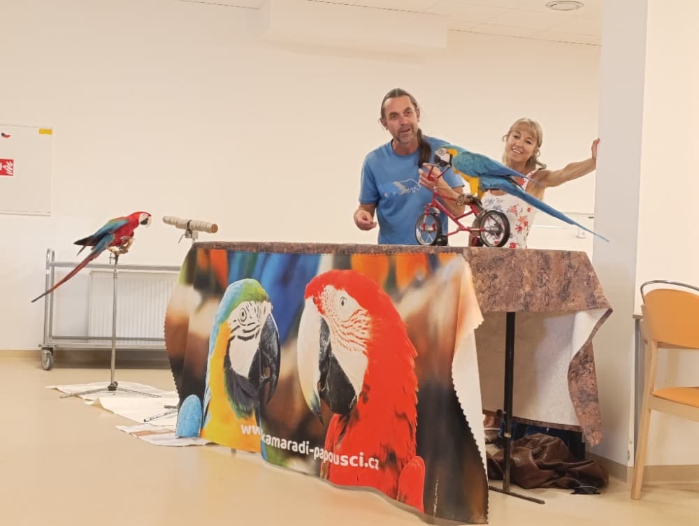 🦜Papoušci 🦜 11