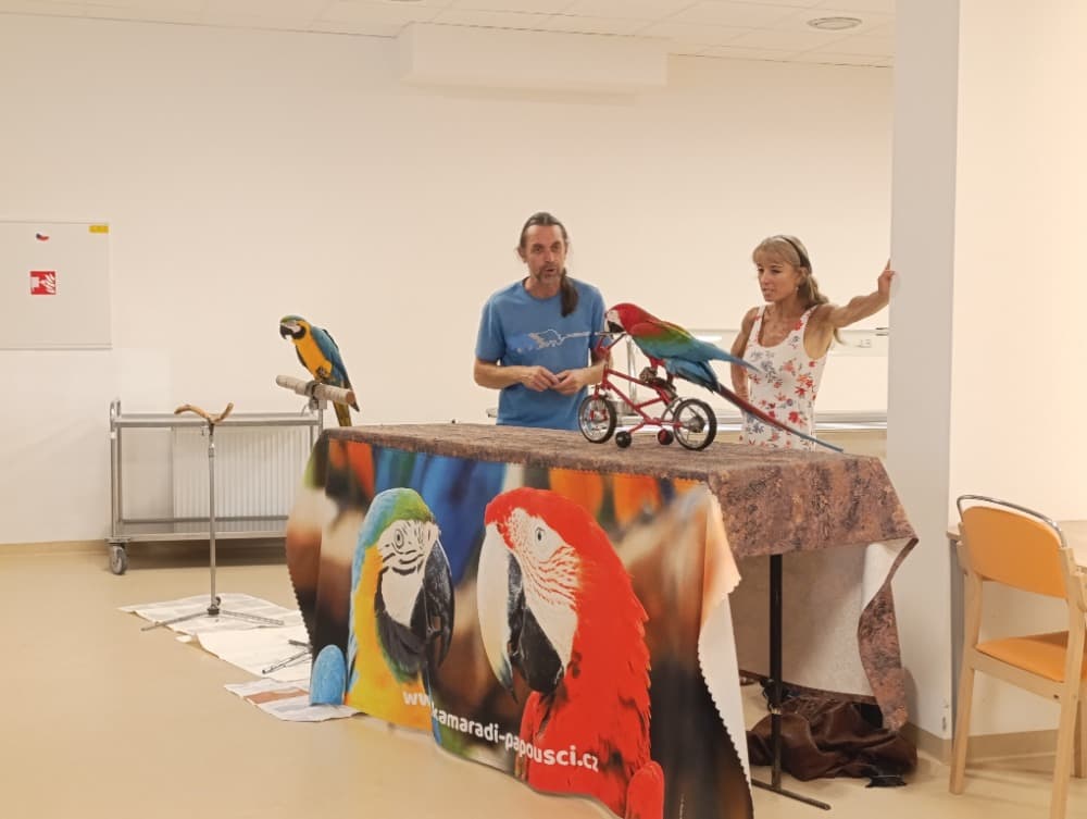 🦜Papoušci 🦜 12