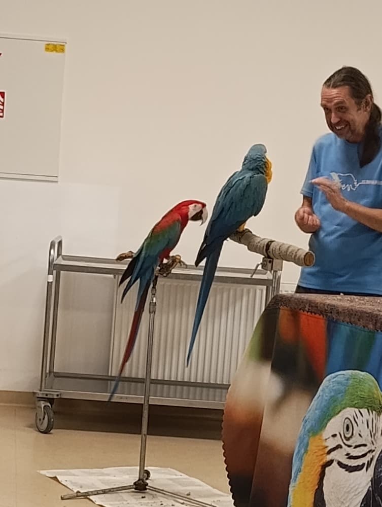 🦜Papoušci 🦜 13