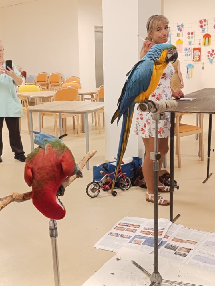 🦜Papoušci 🦜 14