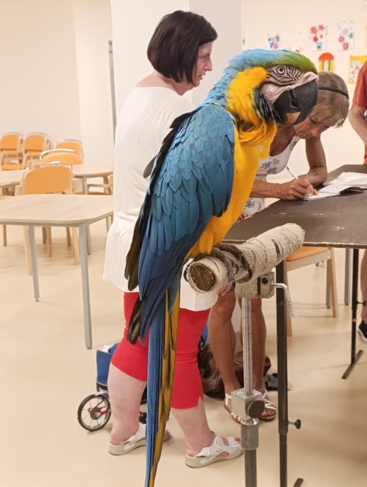 🦜Papoušci 🦜 15