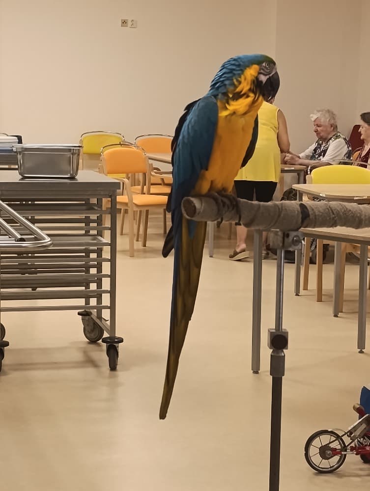 🦜Papoušci 🦜 22