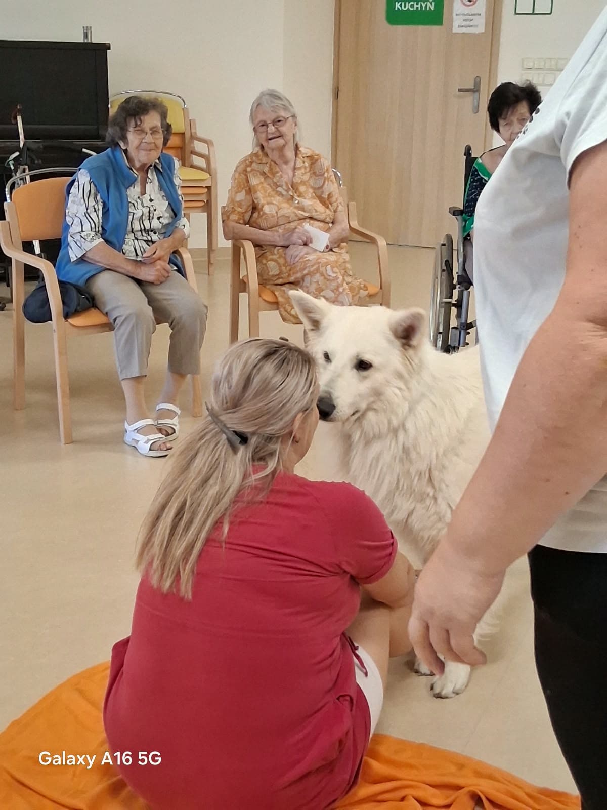 Charry opět v akci!🐾 3