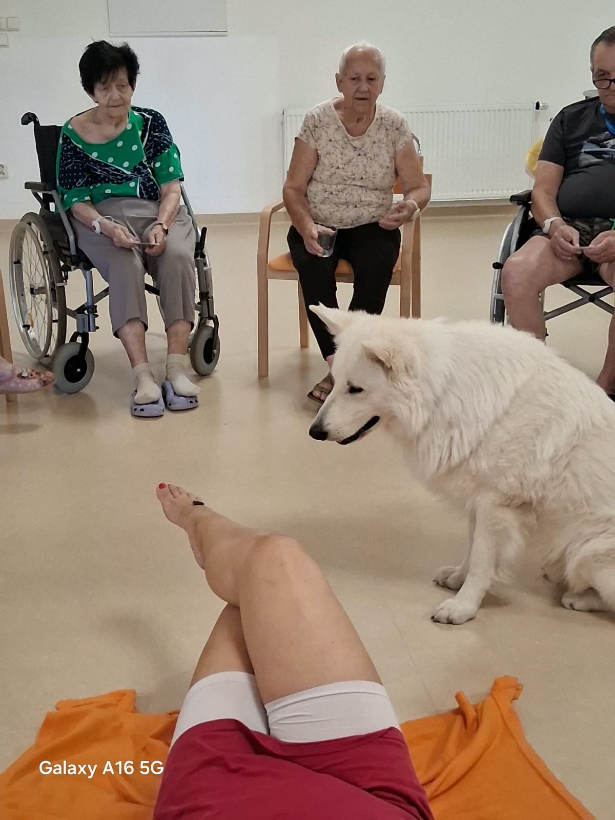 Charry opět v akci!🐾 4