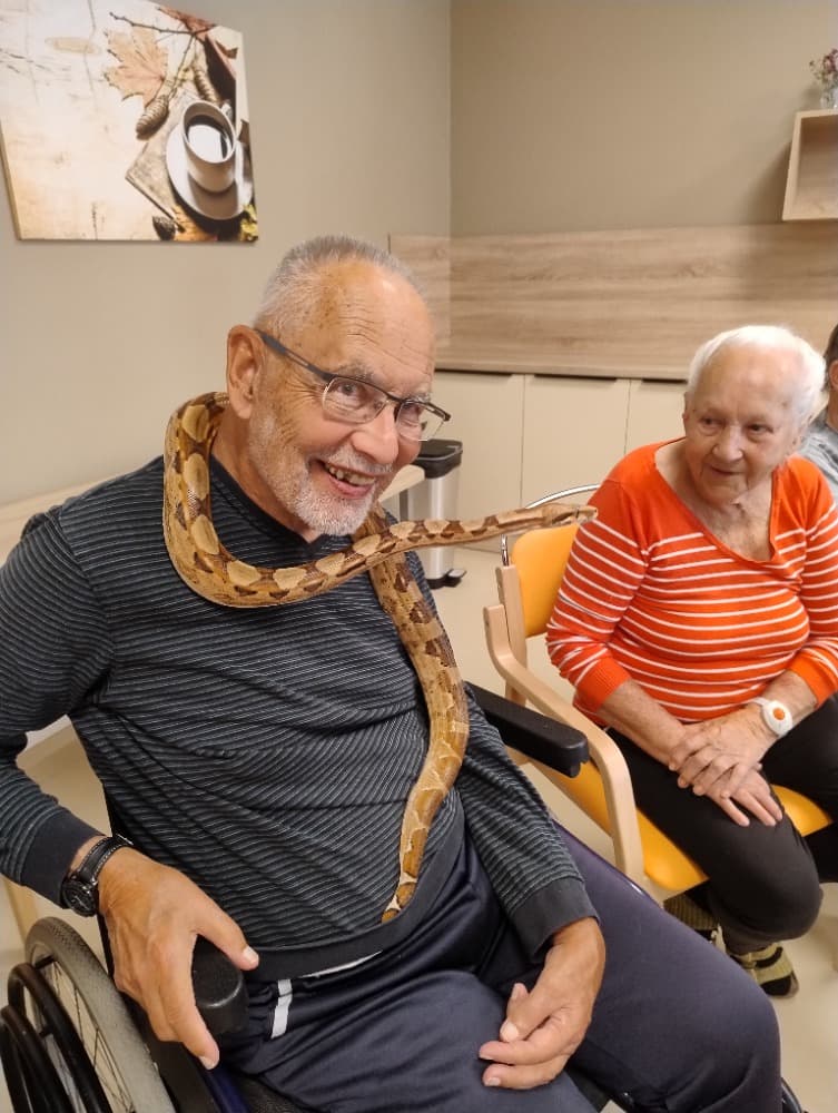 🦎 🦔 🐢 MINIZOO 🐍 🦨 🐕 13