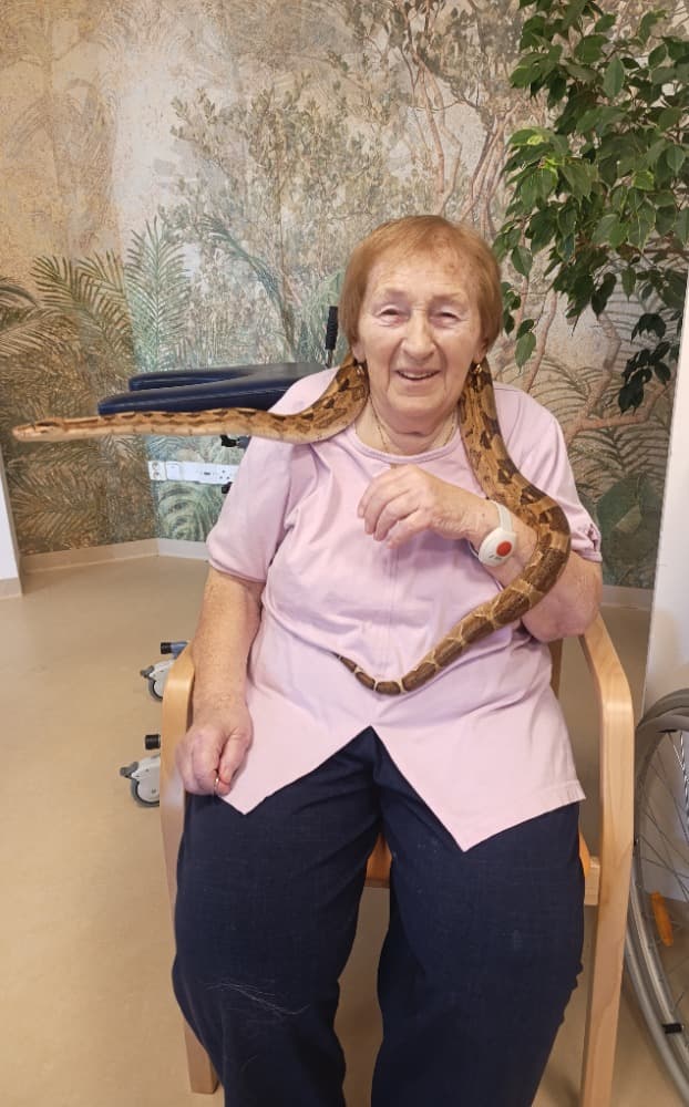 🦎 🦔 🐢 MINIZOO 🐍 🦨 🐕 30