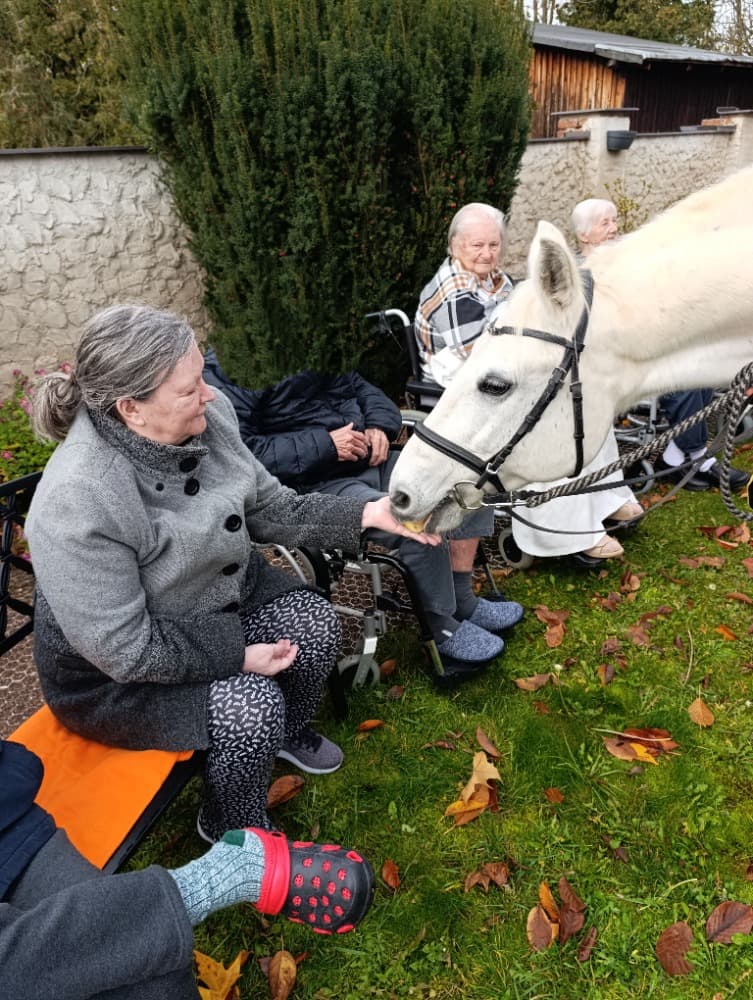 Svatý Martin🗡️ 3