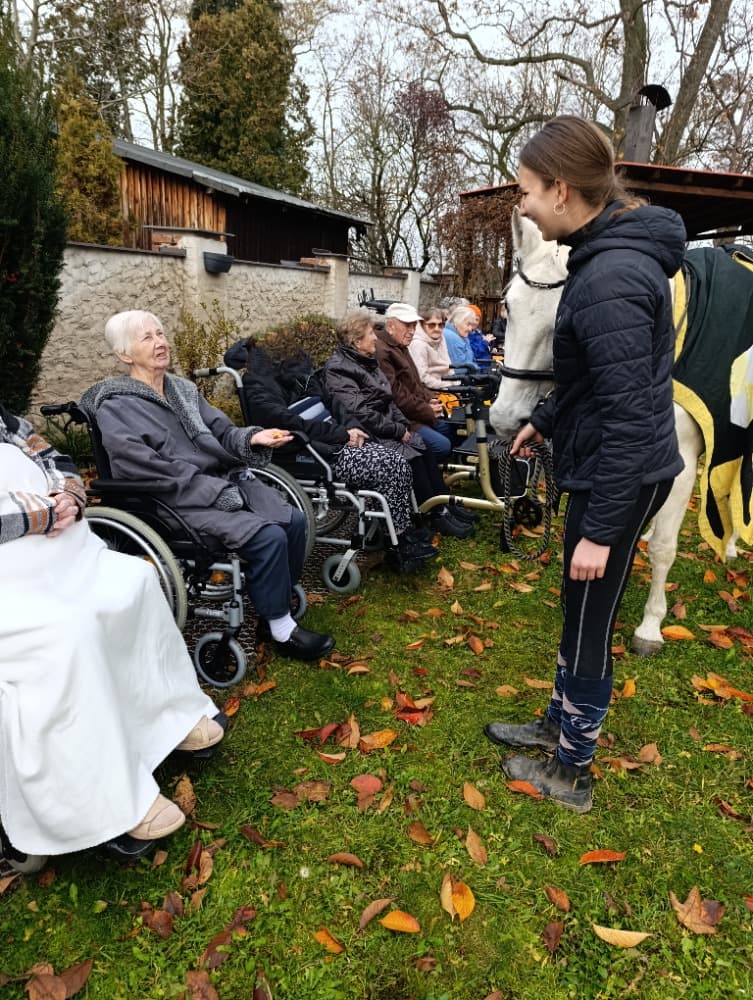 Svatý Martin🗡️ 10