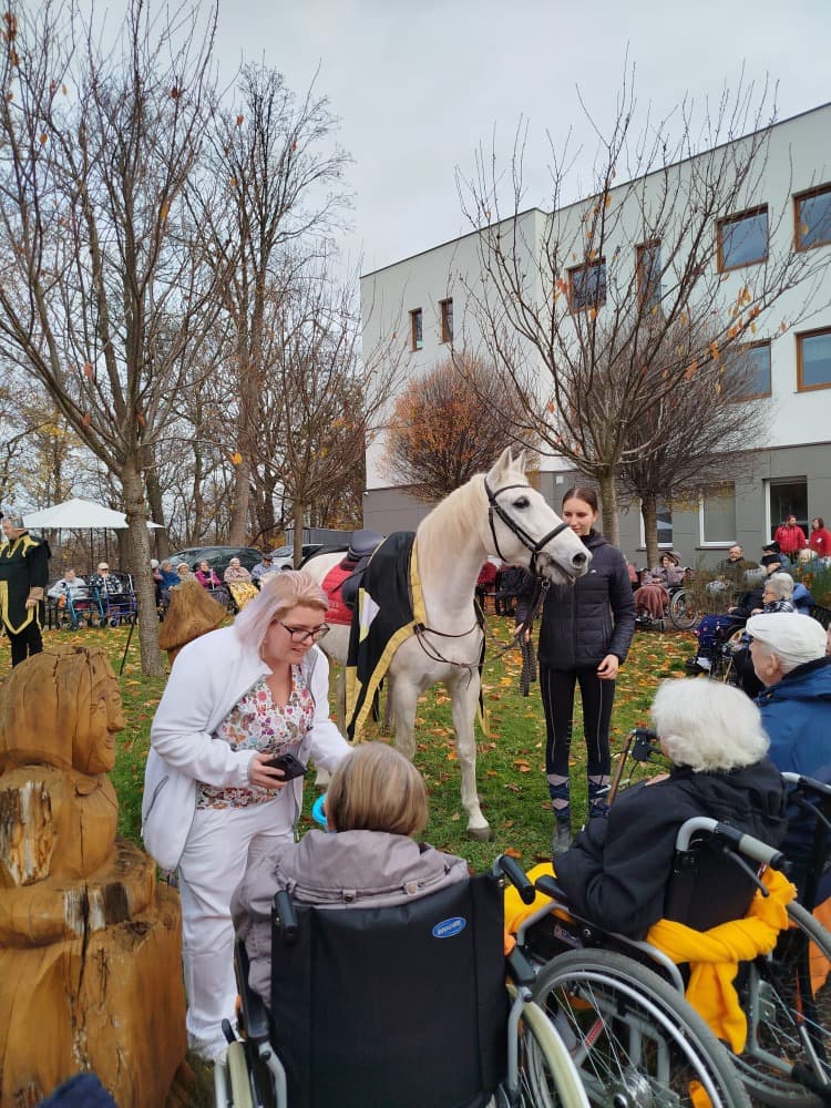 Svatý Martin🗡️ 11